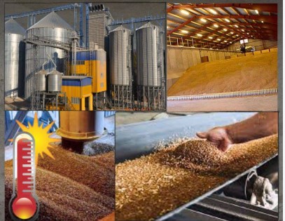 Технології сушіння сільськогосподарської продукції для малого бізнесу
